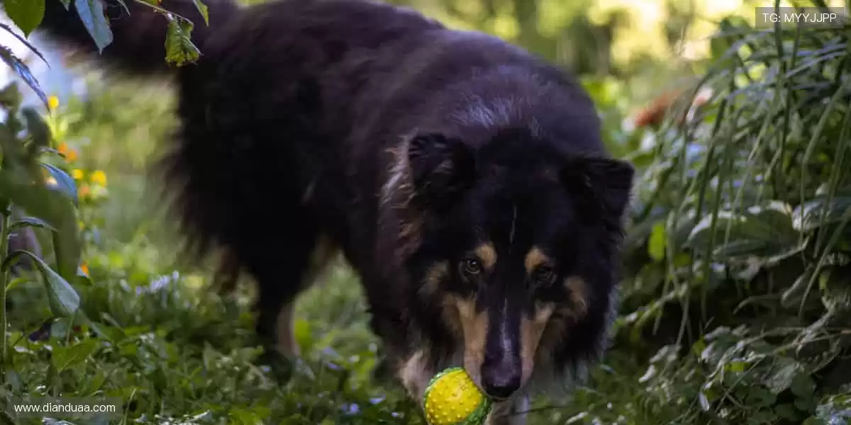 🎁 装备你的热爱，从这里开始！👟